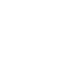 Icon language picker color white